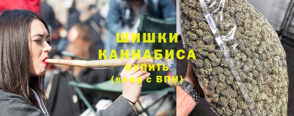 амф Аркадак