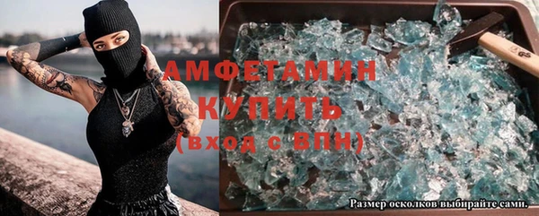 амф Аркадак