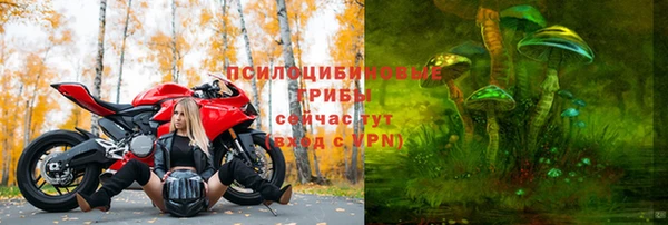 амф Аркадак